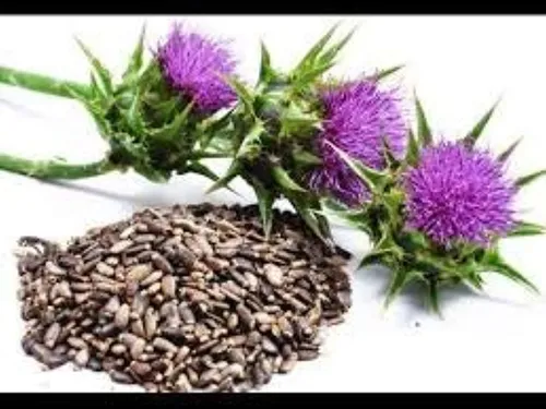 Cardo Mariano Semillas Polvo 16oz 1 Lb (silybum Marianum)