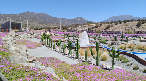 Excelente Oportunidad! Parcela En Carmín Del Elqui