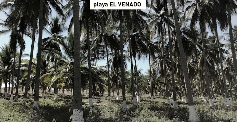 venta exclusivos lotes de playa , puerto escondido