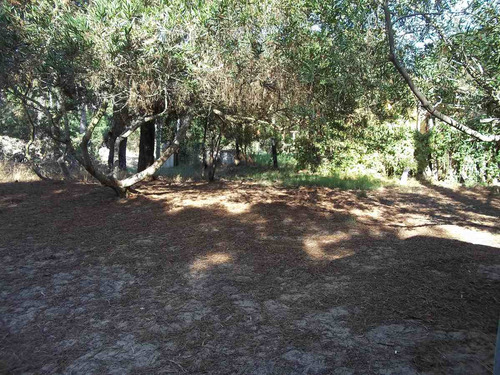 Imagen 14 de 15 de Cabañas En La Paloma-alquiler En La Paloma-alquiler En Rocha