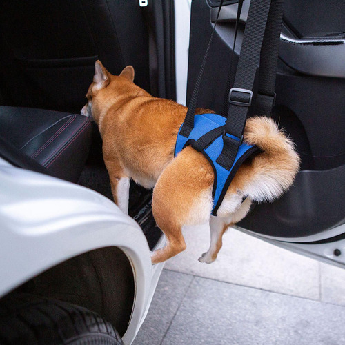 Cinturón Auxiliar Andadera Para Perros, Para Patas