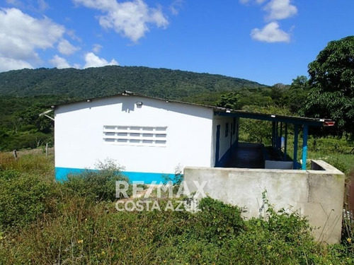 Remax Vende Finca De 80 Hectáreas A Desarrollar Precio De Oportunidad, Sector Riecito, Estado Falcon.