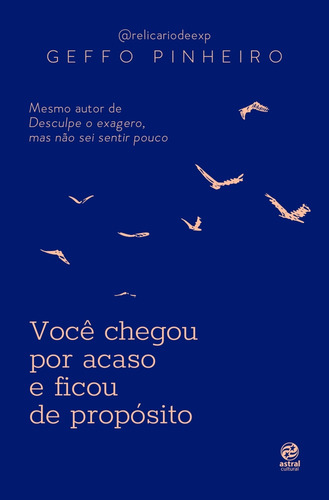 Você Chegou Por Acaso E Ficou De Propósito