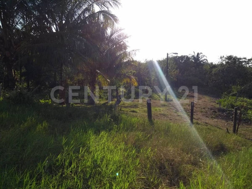 Terreno En Venta