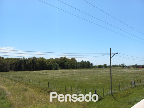 Imagen 3 de 18 de En Venta 1 Hectarea Con Servicios