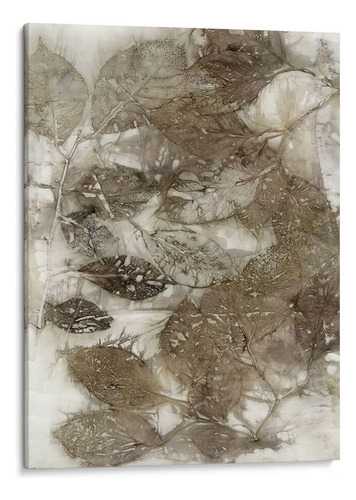Canvas Lab Cuadro Dogwood Hojas I 120x160, Robert Settle