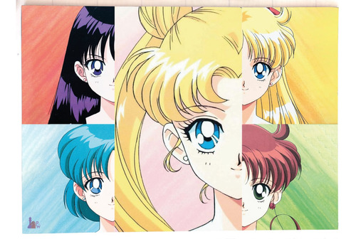 Cuadro Artesanal De Sailor Moon - Serena Y Sailor Scouts