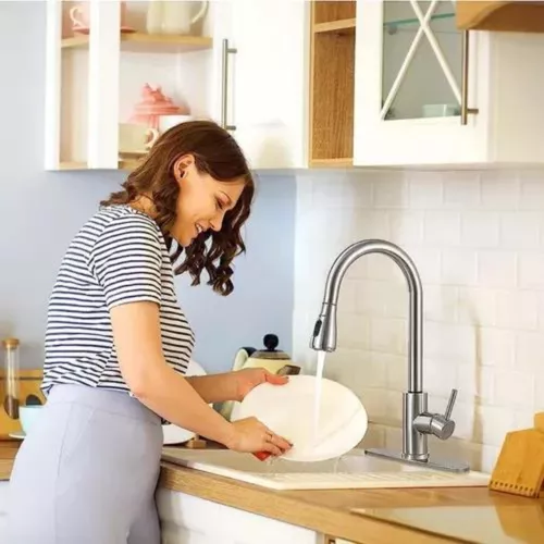 Grifo De Fregadero Para Cocina Con Pulverizador Extraíble Acero Inoxidable  Llave