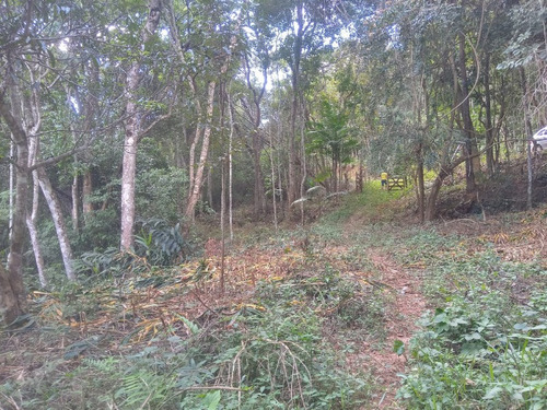 Imagem 12 de 30 de Excelente Terreno Á Venda De 16.500m2 Em Condomínio Rural Clube Juca Vieira C/ Área De 16.500 M², C/ Córrego De Água Cristalina Nos Fundos! - Oci0101 - 69485109
