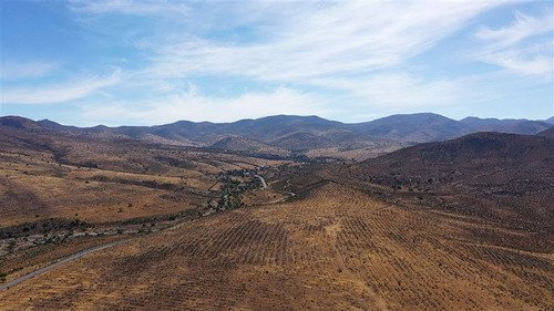 Venta Terreno De 11 Ha En Higueritas Unidas, Ovalle