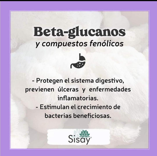 Melena De León Y Ganoderma, Sisay