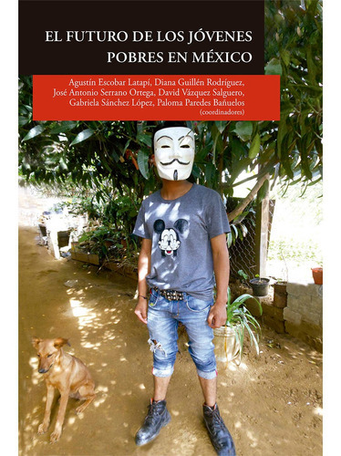 El Futuro De Los Jóvenes De Bajos Ingresos En México, De Vázquez , David .. Editorial Colegio De San Luis En Español