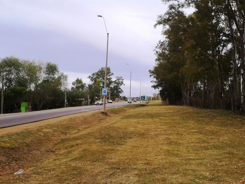Imagen 4 de 5 de Predio En Renta