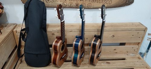Imagen 4 de 7 de Ukelele Soprano Profesional Con Su Forro Protector