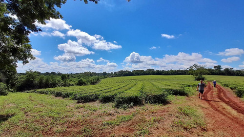 Chacra En Vanta San Vicente Misiones
