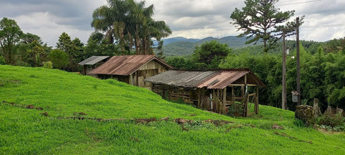 Imagem 11 de 15 de Chácara Para Venda Em São José Dos Pinhais, Área Rural De São José Dos Pinhais - Cha6607_1-2422868