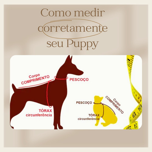 Roupinha Cachorro Camisa Copa Persoanlizado Com Nome Tam 0
