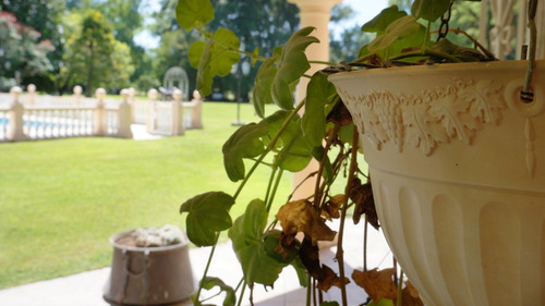 Hotel Pet Friendly Estancia Don Pedro