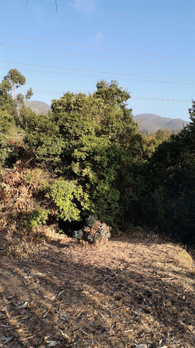 Parcela En Venta En Bosque De Mantagua Concon