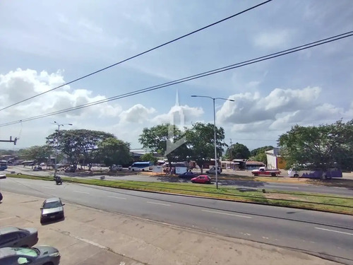 Imagen 5 de 18 de Locales En Plena Avenida Gumilla En San Félix