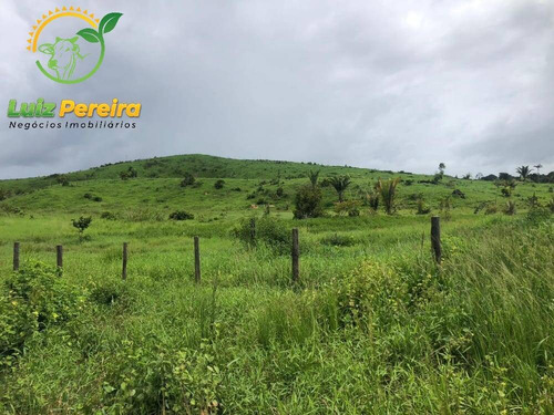 Imagem 11 de 15 de Fazenda À Venda Em Pacajá - Pa 692,12 Hectares - 2094