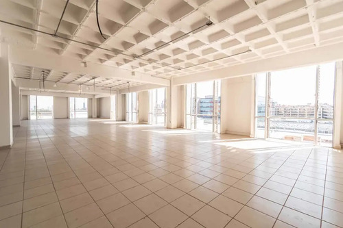 Oficinas En Renta Toreo