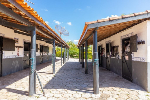 Imagem 23 de 30 de Fazenda À Venda No Bairro Sarapuí - Sarapuí/sp - O-8420-17443