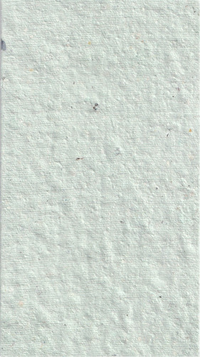 Tarjetas Personales De Papel Reciclado Artesanal X50u Verde