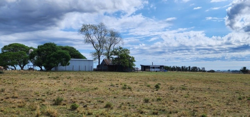 Imagen 25 de 30 de Excelente Campo Con Muy Buenas Mejoras .