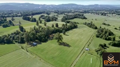 Venta Parcela Sector Tronlico, Región De Los Rios