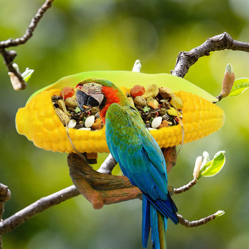 Creativo Para Loros Para Pájaros Con De Fruta Y Jaula Con So
