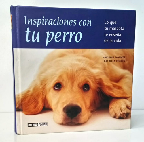 Inspiraciones Lo Que Tu Perro Te Enseña De La Vida / Cmm