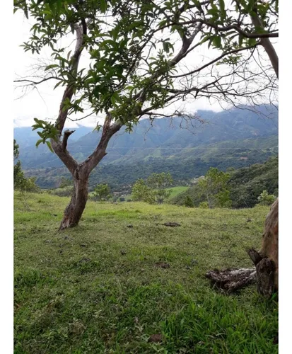 Se Vende Lote En Sanjeronimo (antioquia) 20 Hectáreas + 8.000 Mtr2