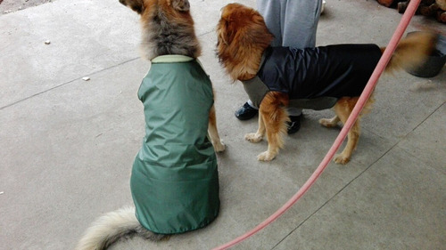 Capas Impermeables Y De Polar. Calentitas