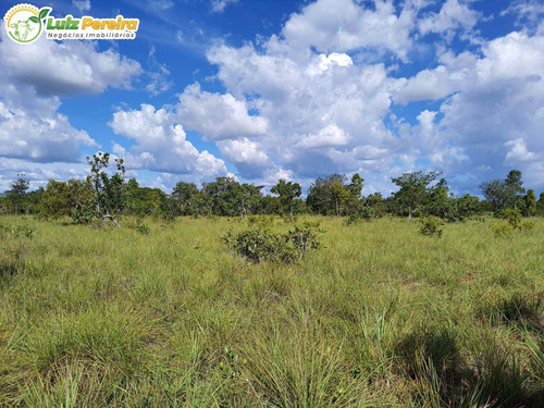 Imagem 6 de 10 de Fazenda À Venda Em Colinas - To - 498,53 Hectares (dupla Aptidão) - 2137