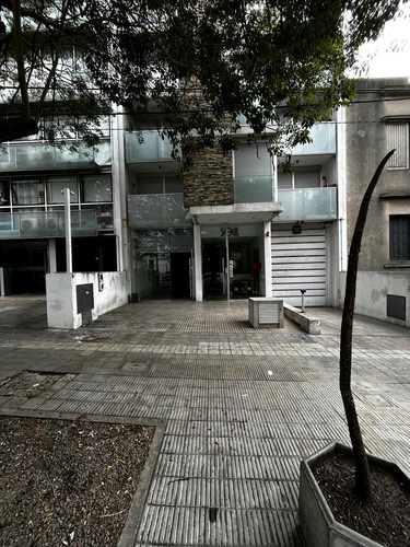 Imagen 4 de 4 de Local Comercial Pocitos Avenida