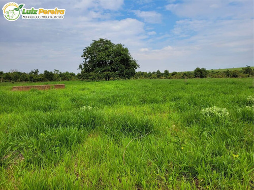 Imagem 1 de 15 de Fazenda À Venda Em Ribas Do Rio Pardo - Ms - 110 Hectares (pecuária) - 2122