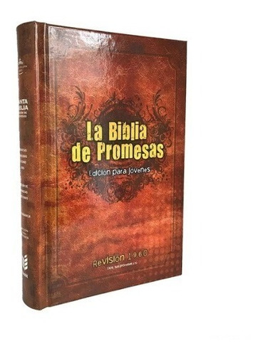 La Biblia De Promesas Edicion Para Jovenes Hombres