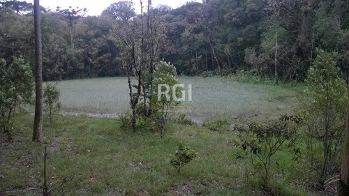 Terreno Em Primeiro Distrito - El56353457
