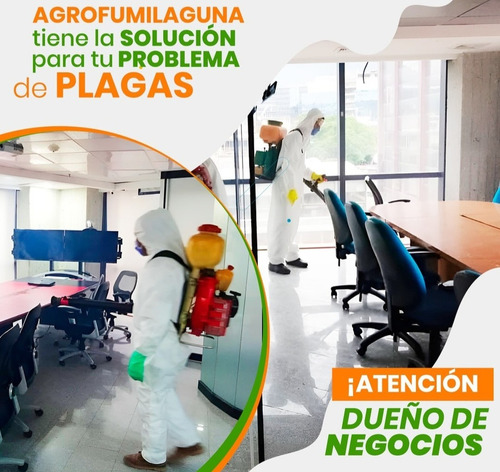 Empresa De Fumigacion Contra Todo Tipo De Insectos