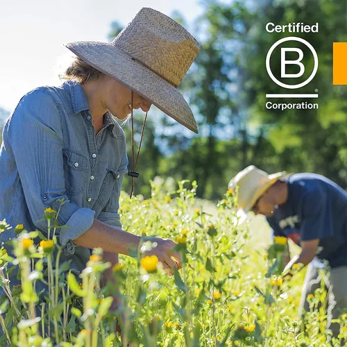 Extracto Líquido Orgánico De Ajenjo Certificado Para Apoyo D