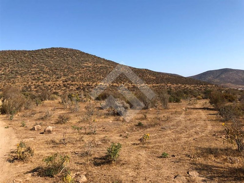 Agrícola En Venta En Andacollo