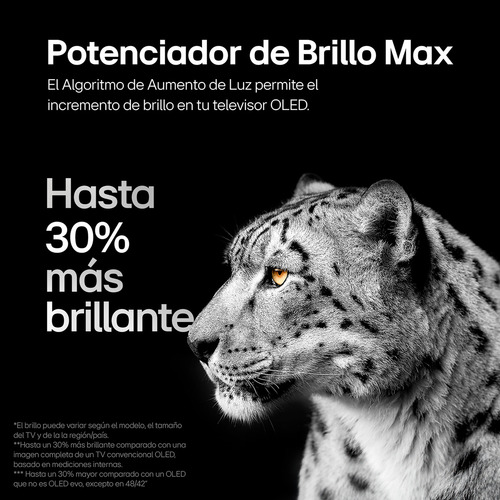 Pantalla LG Oled Evo 4k Smart Tv 2024 Thinq Ai Oled48c4psa