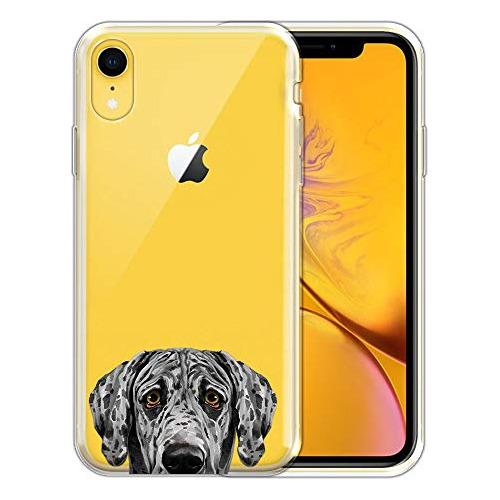 Fincibo Caja Compatible Con Apple iPhone XR 6.1 Pulgadas, Tr