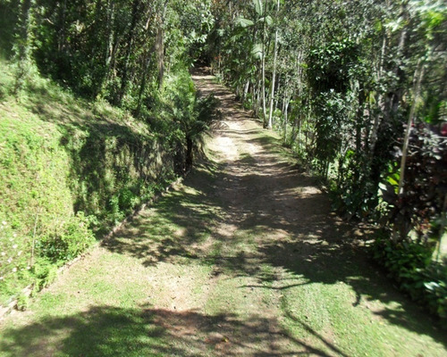 Imagem 29 de 30 de Sítio À Venda Em Juquitiba - 201 - 32982581