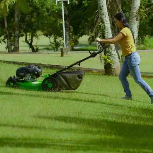 Cortador De Grama A Gasolina Com Tração 6,5cv Lf55c Trapp Nf