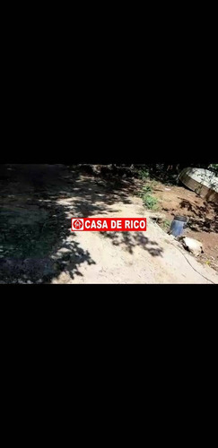 Imagem 9 de 9 de Chácara Rural - 1428