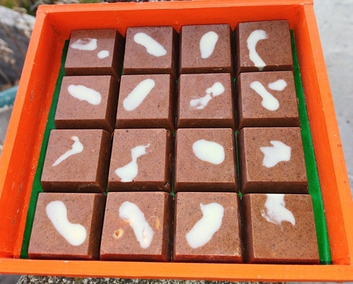 Chocolate-chapulin Artesanal Oaxaqueño
