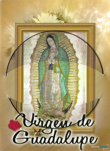 Virgen De Guadalupe Cd + Tarjeta De Regalo