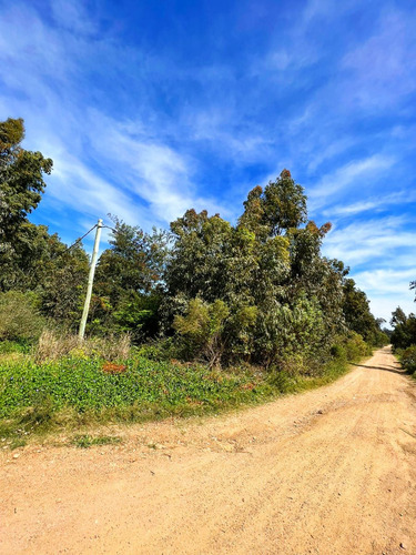 Imagen 9 de 13 de Terreno Esquina Venta Costa Azul Canelones